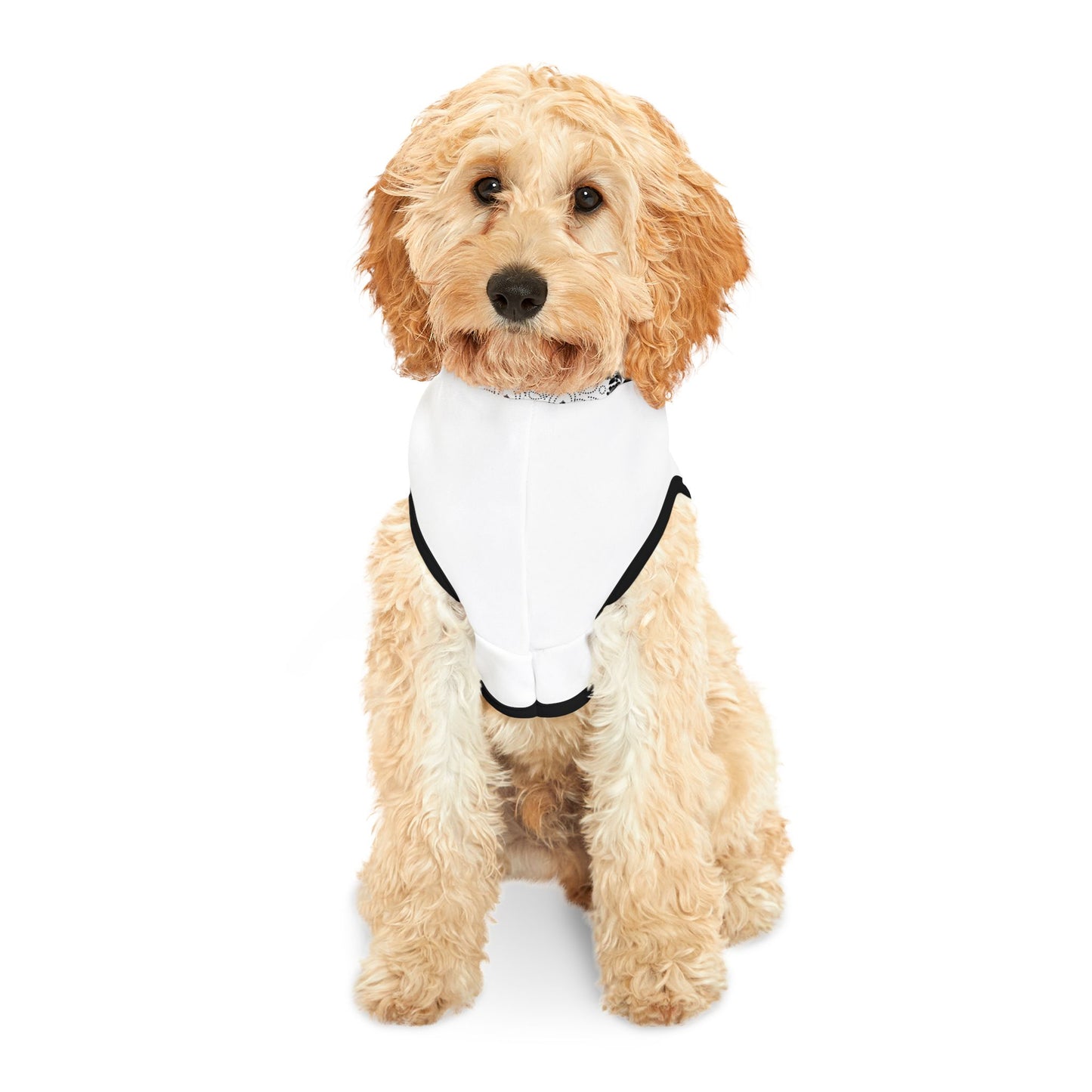 White Paisley Pet Hoodie