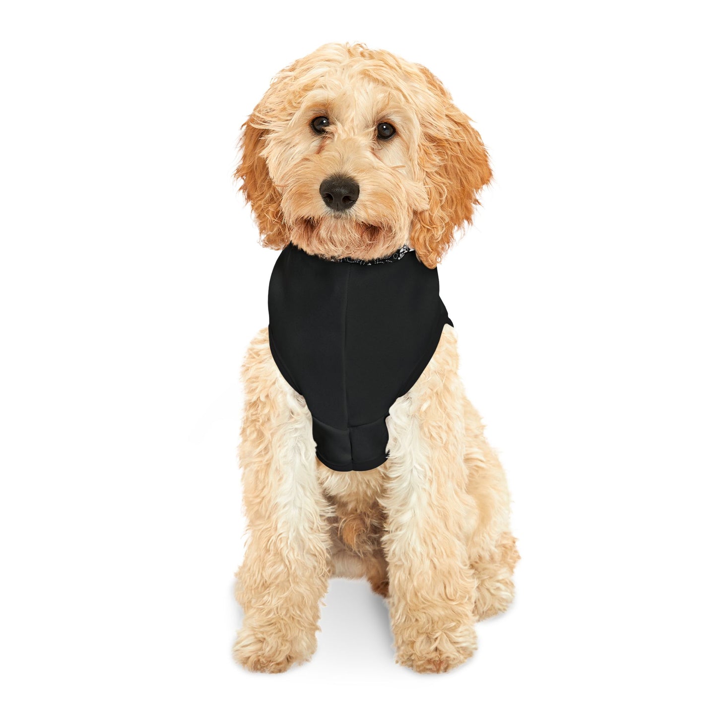 Black Paisley Pet Hoodie